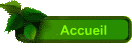 Accueil